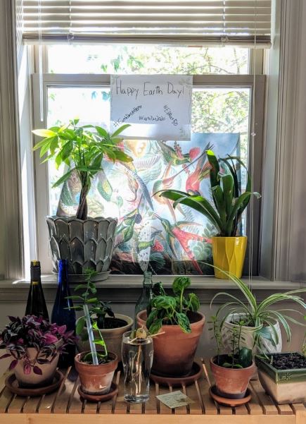 Photo of Earth Day sign on window with plants